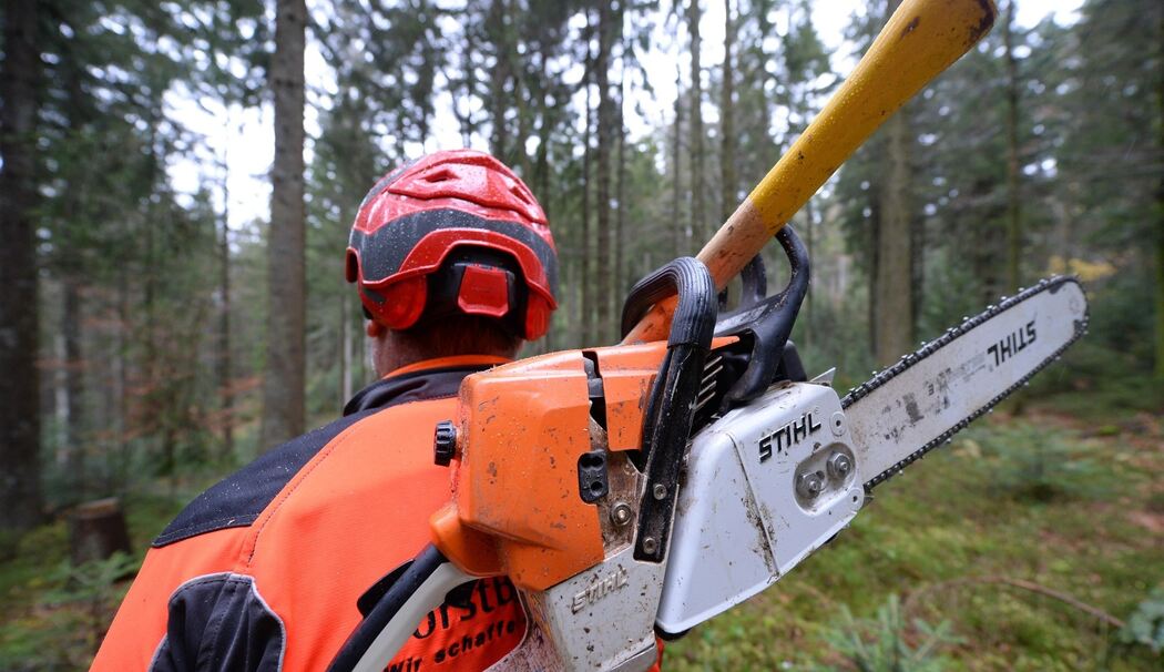 Seeon-Seebruck: Frau (26) von Baum erschlagen