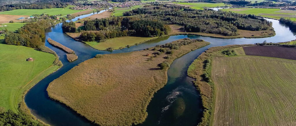 Alz zw. Seebruck und Altenmarkt // Alzschleife