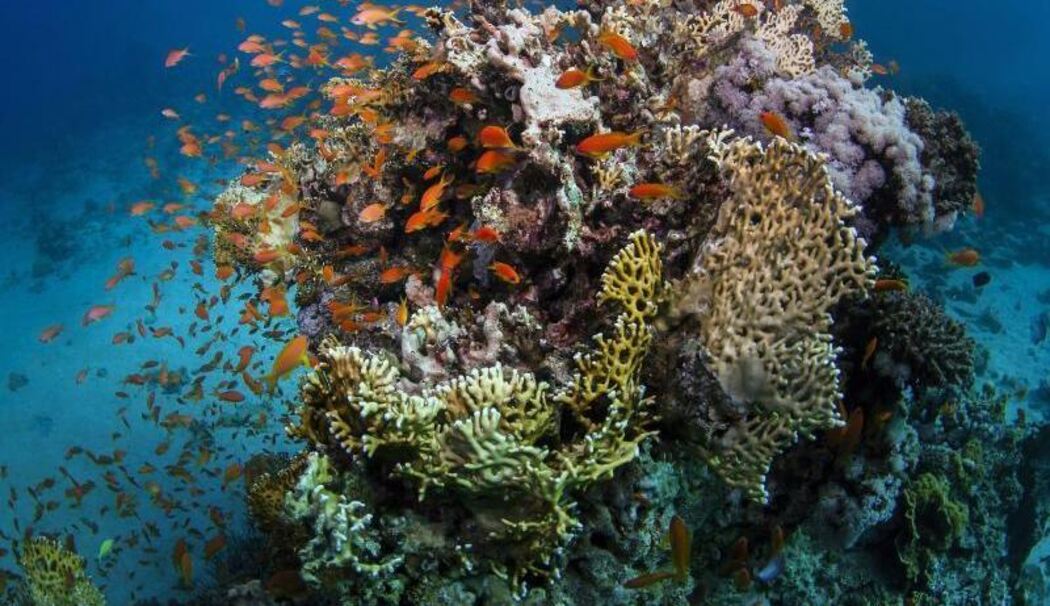 Great Barrier Reef