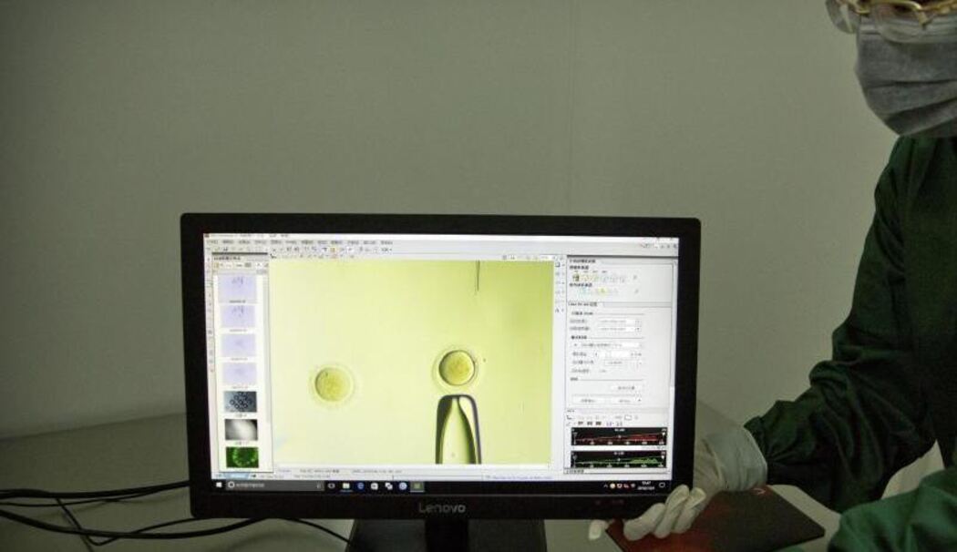Bild mit Video von Qin Jinzhou