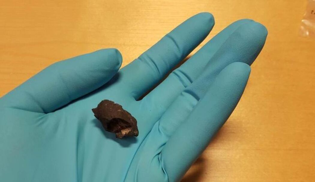 DNA in Kaugummi gefunden