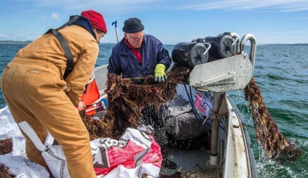 Umweltschützer holen Geisternetz aus der Ostsee