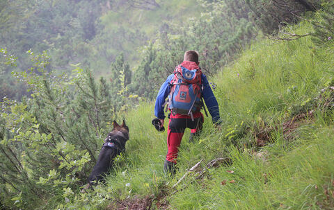 Vermisstensuche von Bergwacht und Polizei am Kehlstein in Berchtesgaden