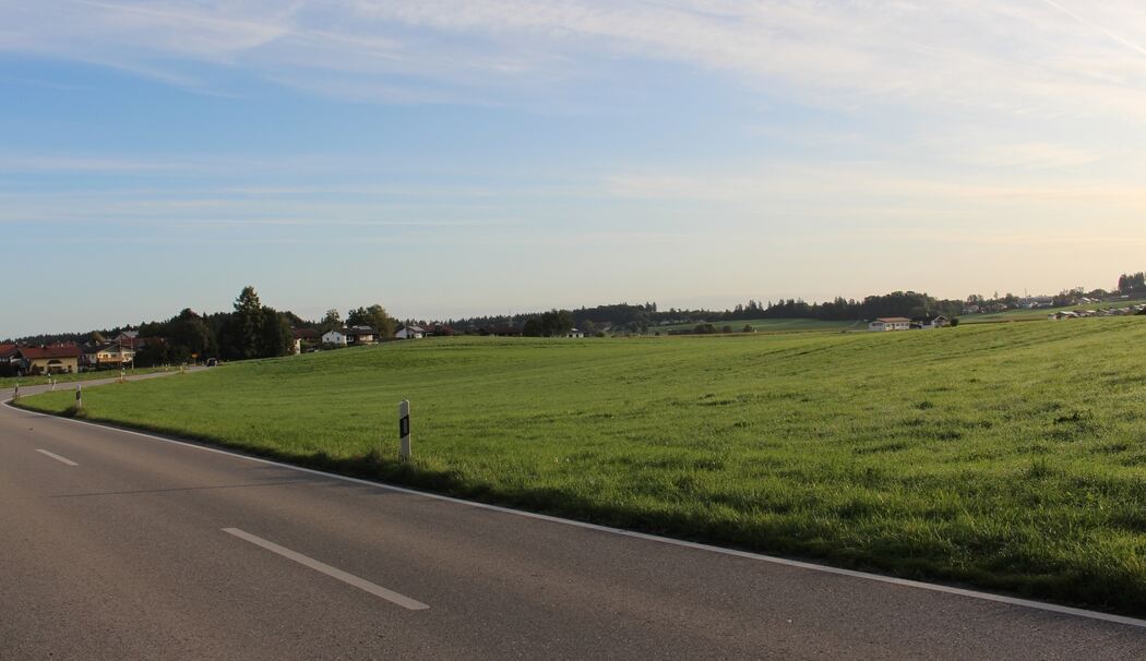 Traunstein: Rinderzuchtverband stoppt Pläne für Neubau in Wolkersdorf
