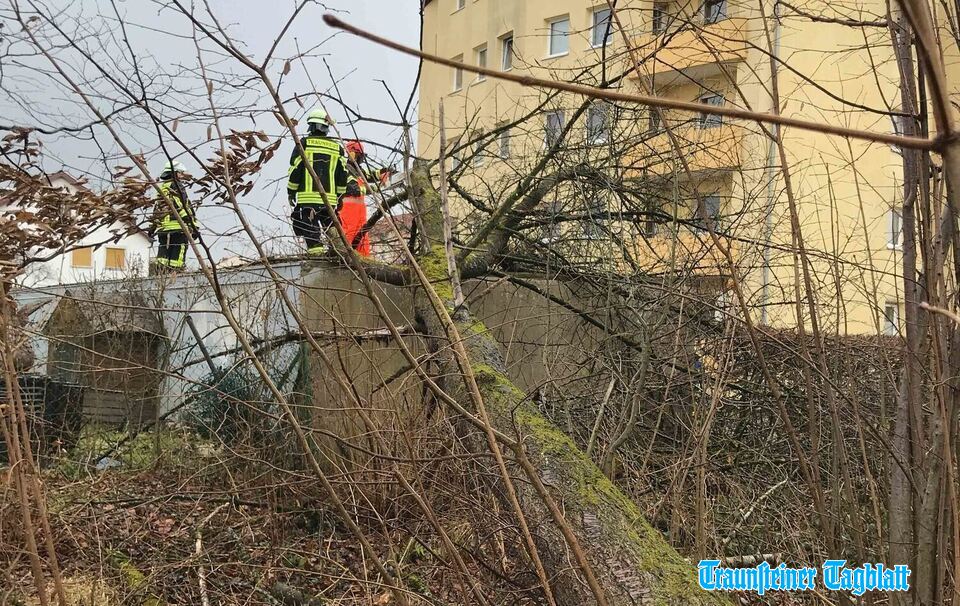 Traunstein: Orkantief "Sabine": Bäume fallen in Wolkersdorf und Traunreut auf Garagen – 50 Einsätze für Feuerwehren