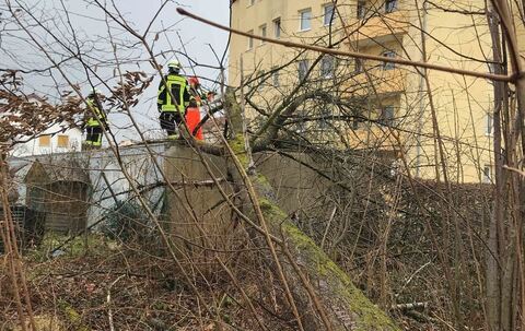 Traunstein: Orkantief "Sabine": Bäume fallen in Wolkersdorf und Traunreut auf Garagen – 50 Einsätze für Feuerwehren Traunstein: Orkantief "Sabine": Bäume fallen in Wolkersdorf und Traunreut auf Garagen – 50 Einsätze für Feuerwehren