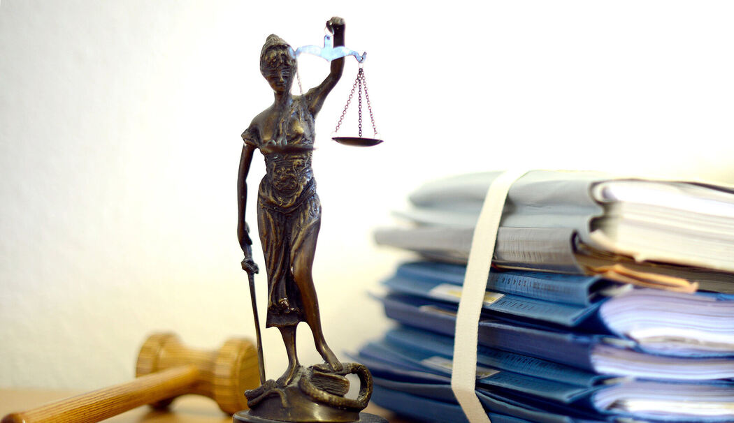 Traunstein: Prozess gegen Tierschützerin: Video eines Jägers ohne seine Einwilligung im Internet