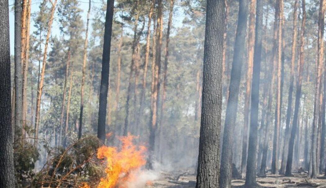 Waldbrand