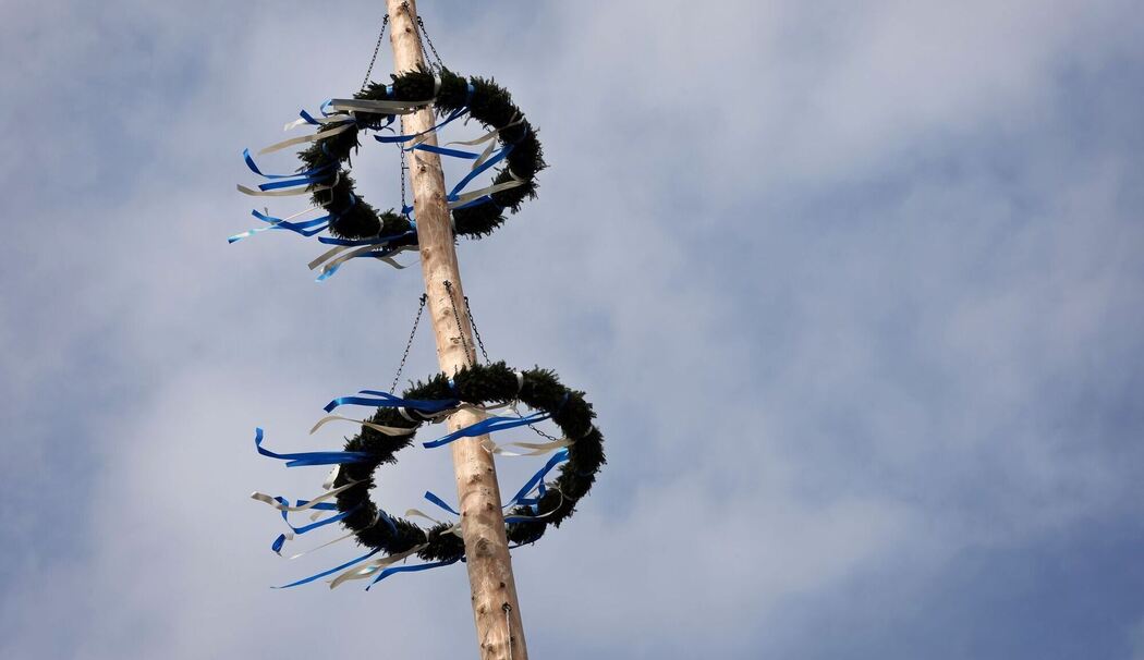 Maibaum