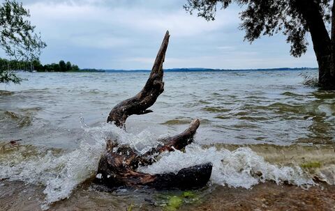 Das Bayerische Meer | Thea Grenz