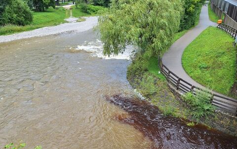 Blick vom Traunstein auf den Zusammenfluss von Traun und Steingraben | Anton Waldmann