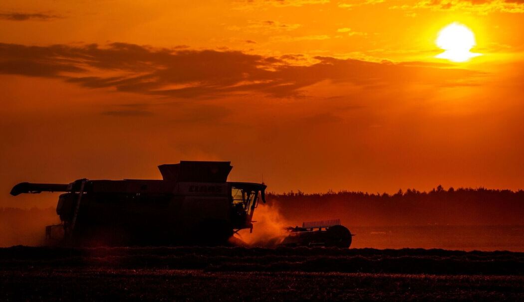 Getreideernte beim Sonnenuntergang