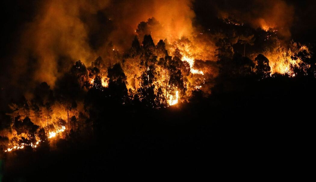 Waldbrände in Spanien
