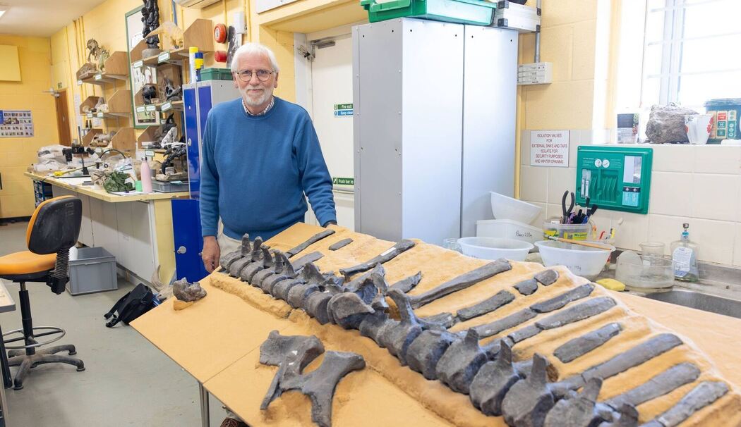 Dinosaurier mit Hautsegel entdeckt