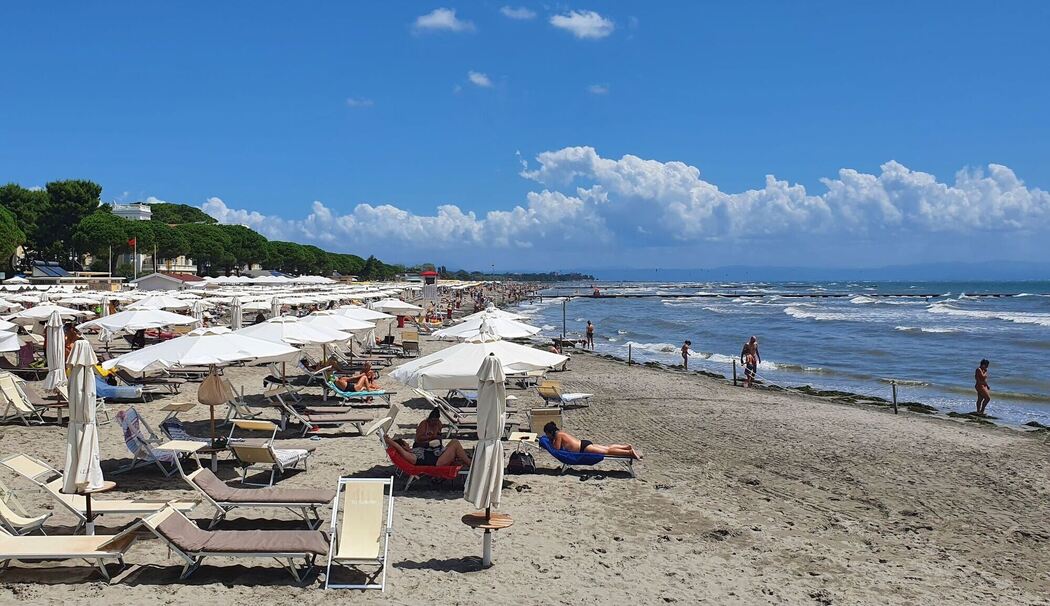 Grado