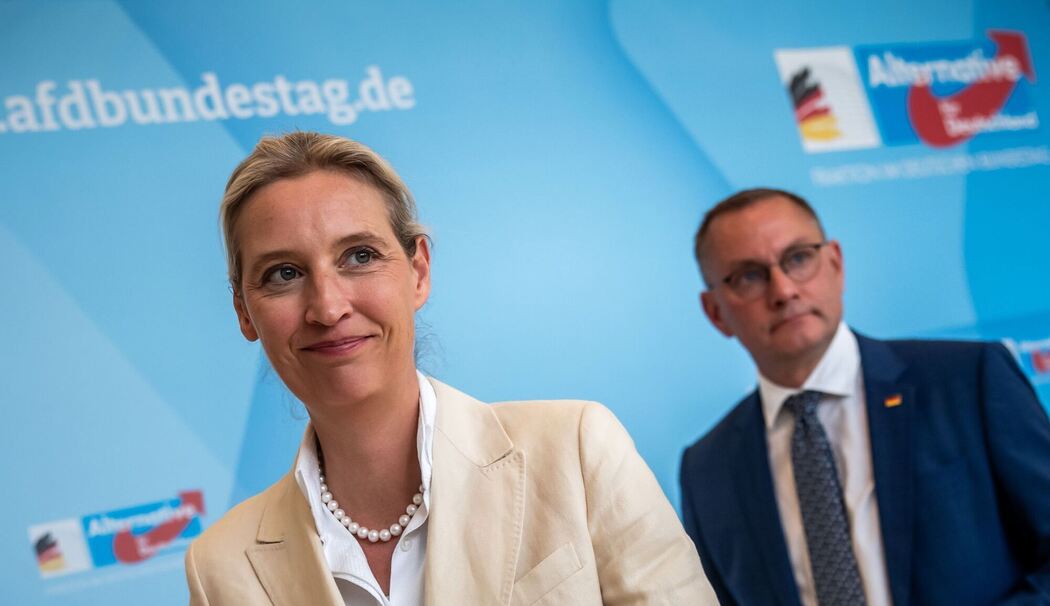 Alice Weidel und Tino Chrupalla