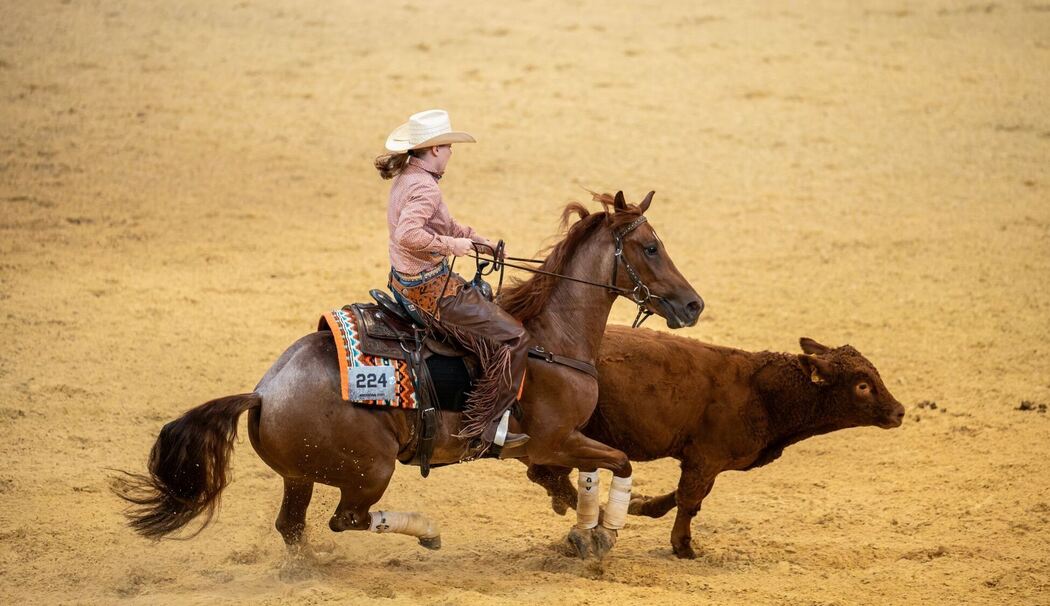 Die Western-Messe Americana - Traum vom Wilden Westen am Bodensee