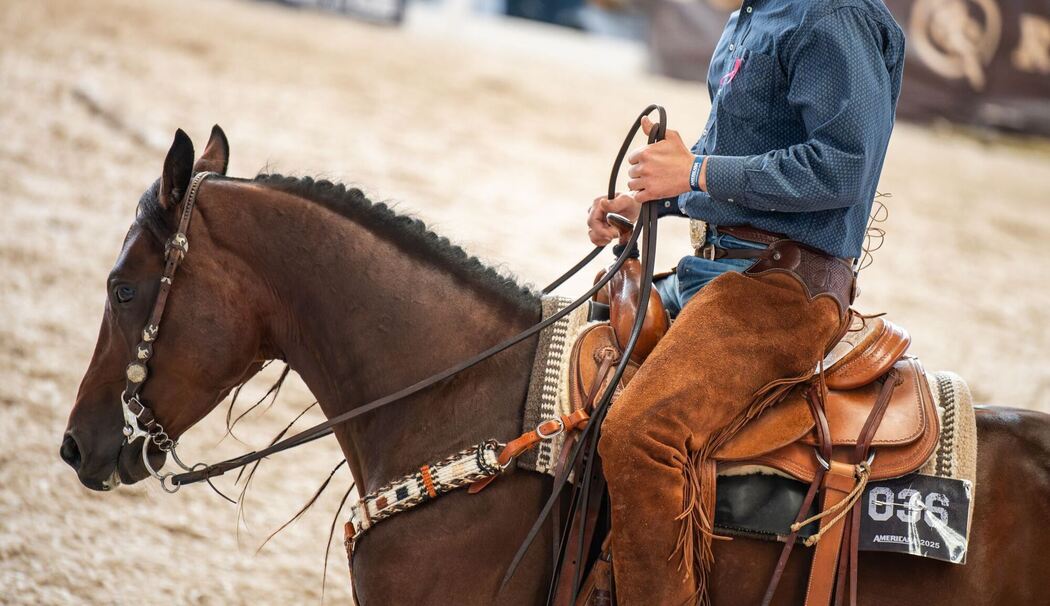 Die Western-Messe Americana - Traum vom Wilden Westen am Bodensee