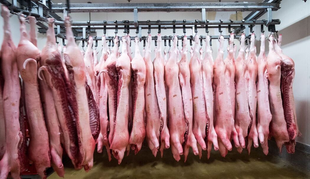 Schweinehälften