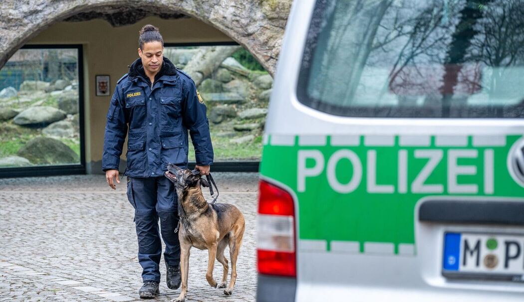 Training für Sprengstoffspürhunde im Löwengehege