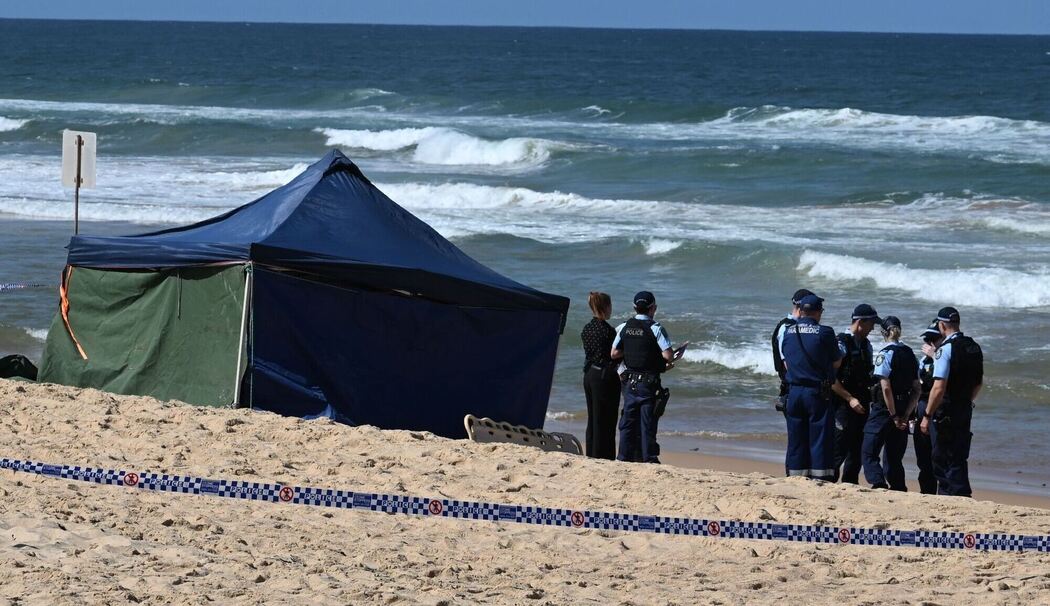 Tödlicher Hai-Angriff in Sydney