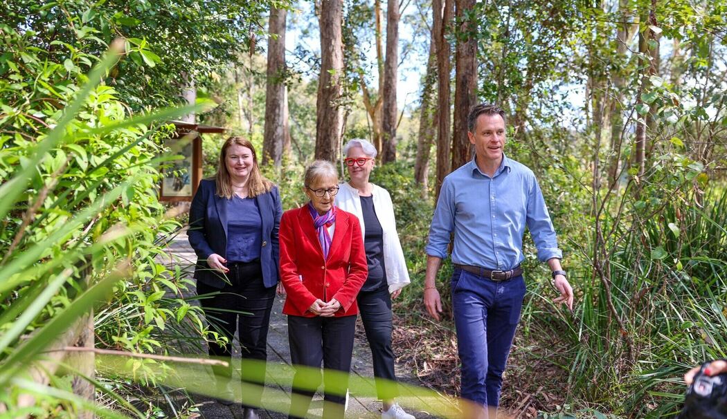 Großes Koala-Nationalparkprojekt in Australien