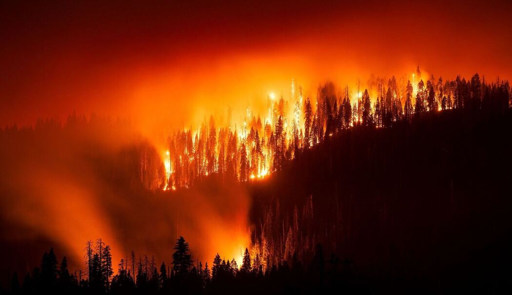Waldbrand in Kalifornien