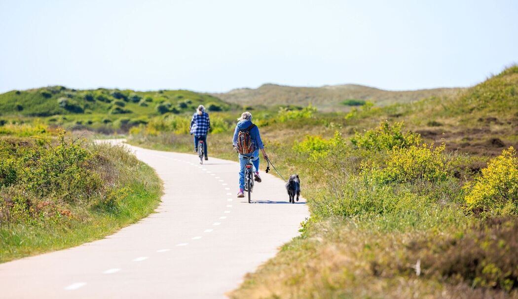 Radfahrer in den Dünen von Texel