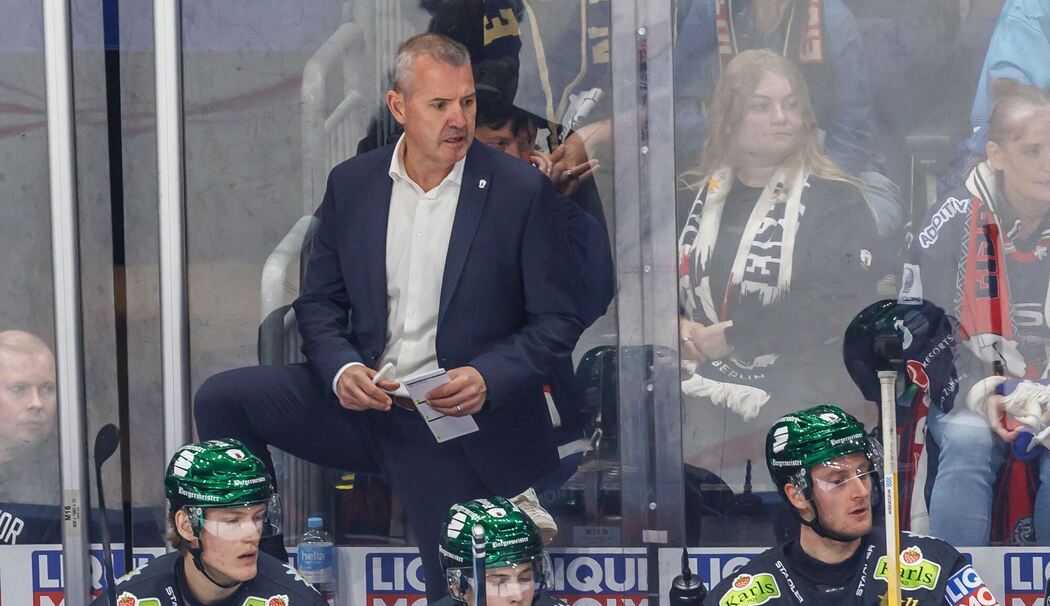Eisbären Berlin - Dresdner Eislöwen