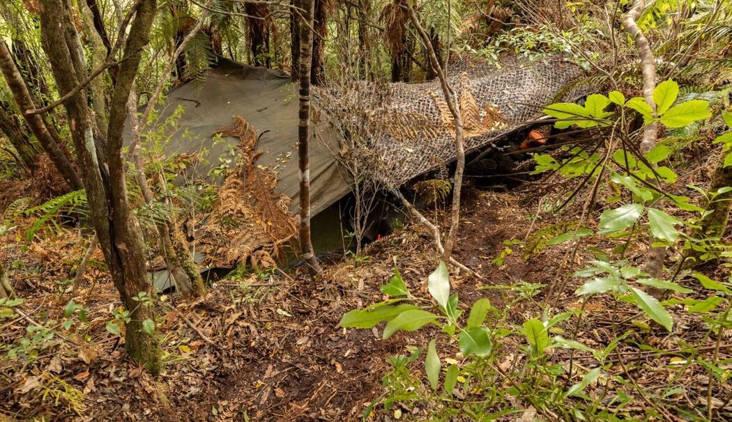 Versteck des Kindesentführers Tom Phillips in Neuseelands Wildnis