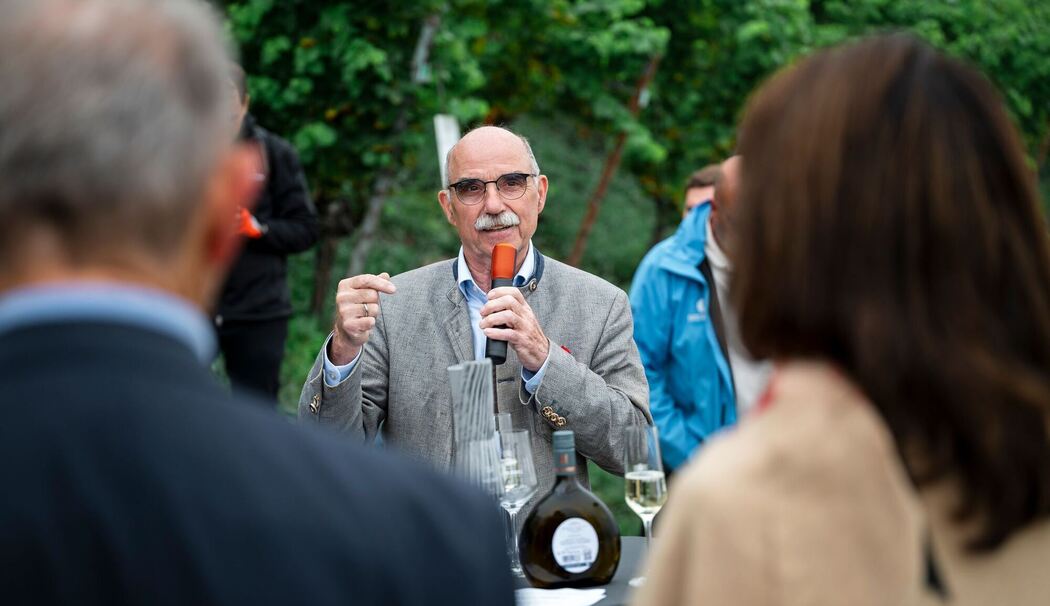 Eröffnung fränkischer Weinlese