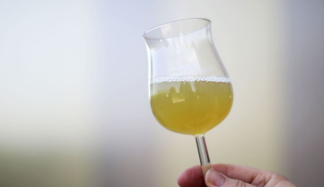 Eine Frau hält ein Glas mit Traubensaft in der Hand