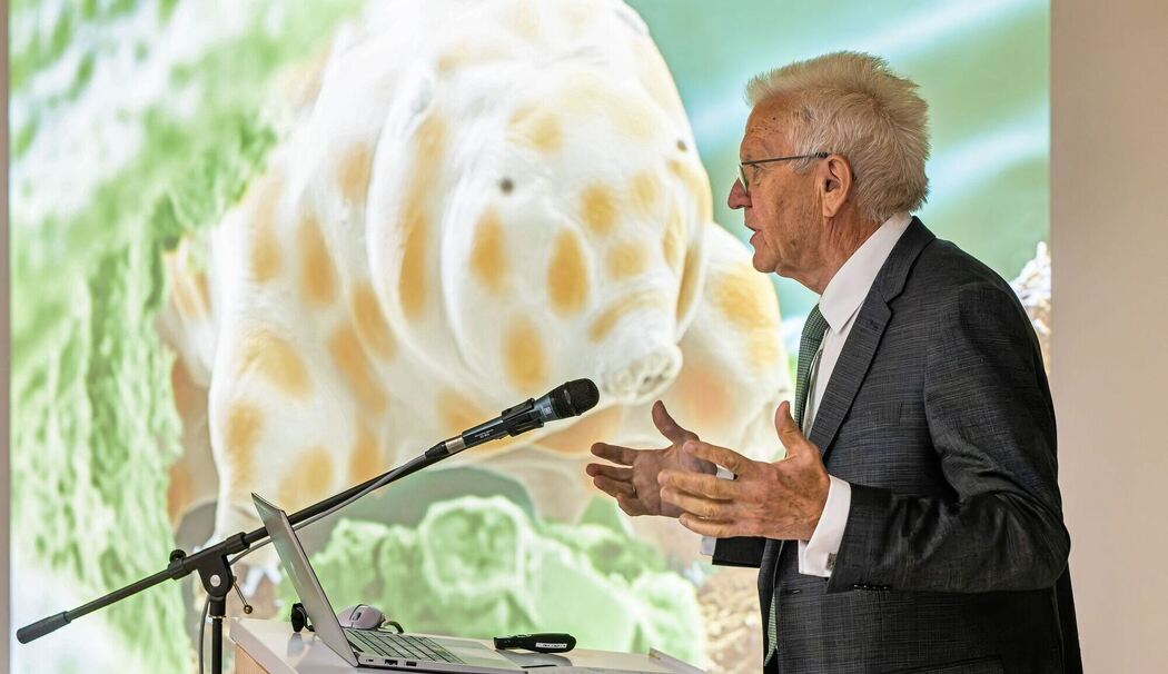 Vorstellung einer neuen Bärtierchen-Art