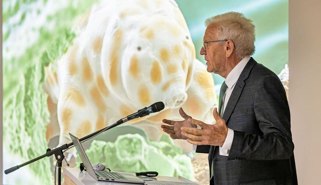 Vorstellung einer neuen Bärtierchen-Art