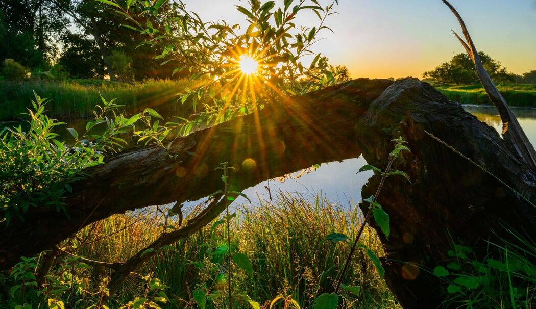 Sonnenaufgang am Fluss Oder