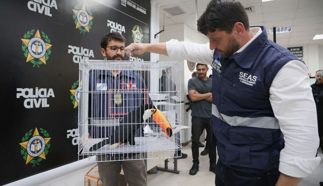 Großer Schlag gegen den illegalen Tierhandel in Brasilien