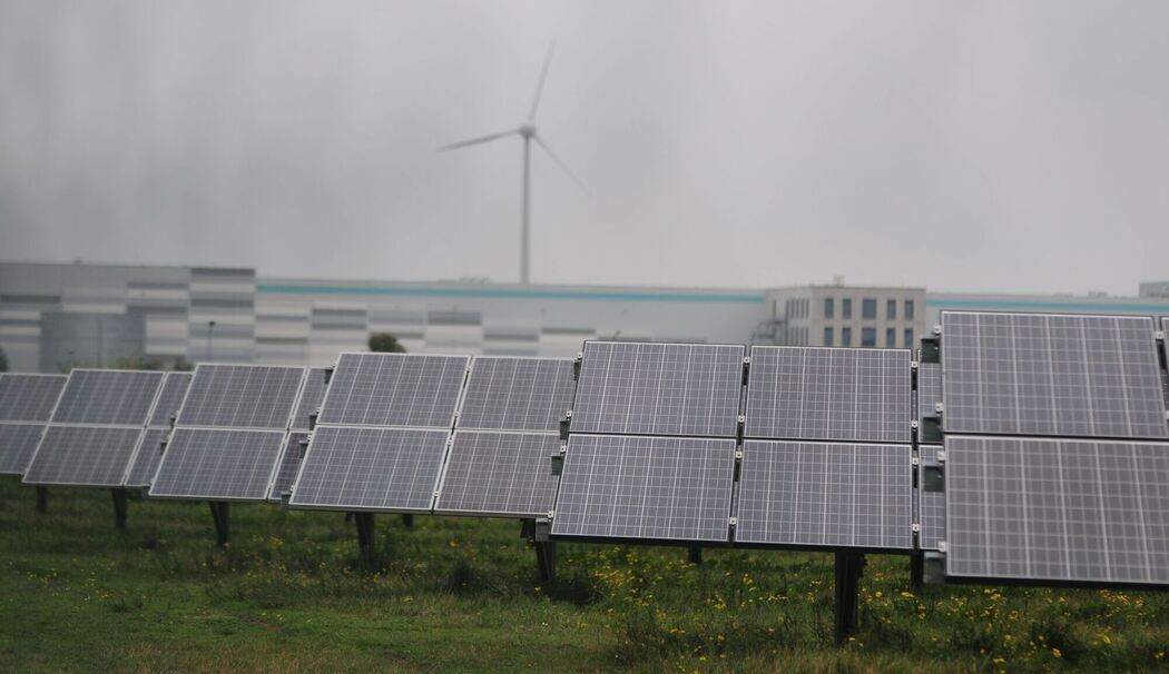 Solarmodule in Bitterfeld-Wolfen
