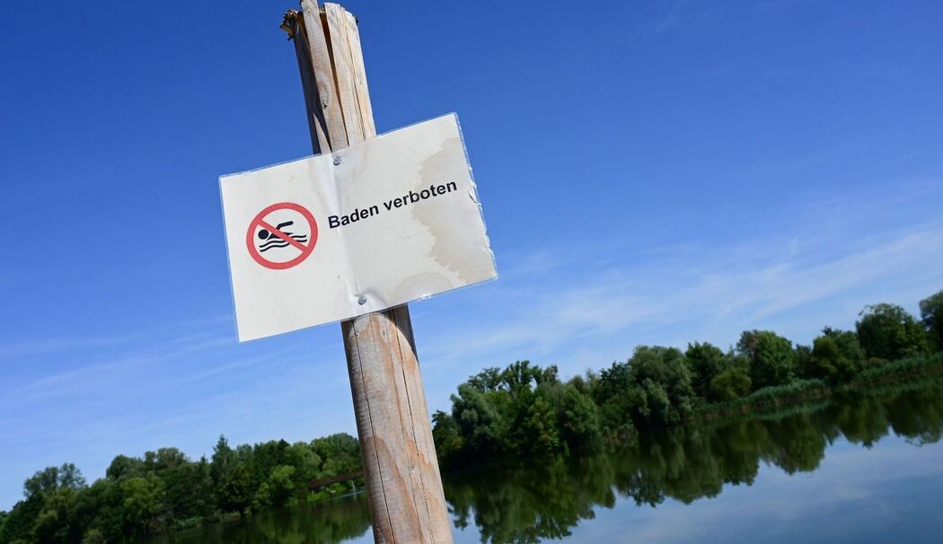 Badeverbot im Buga-See wegen Blaualgen