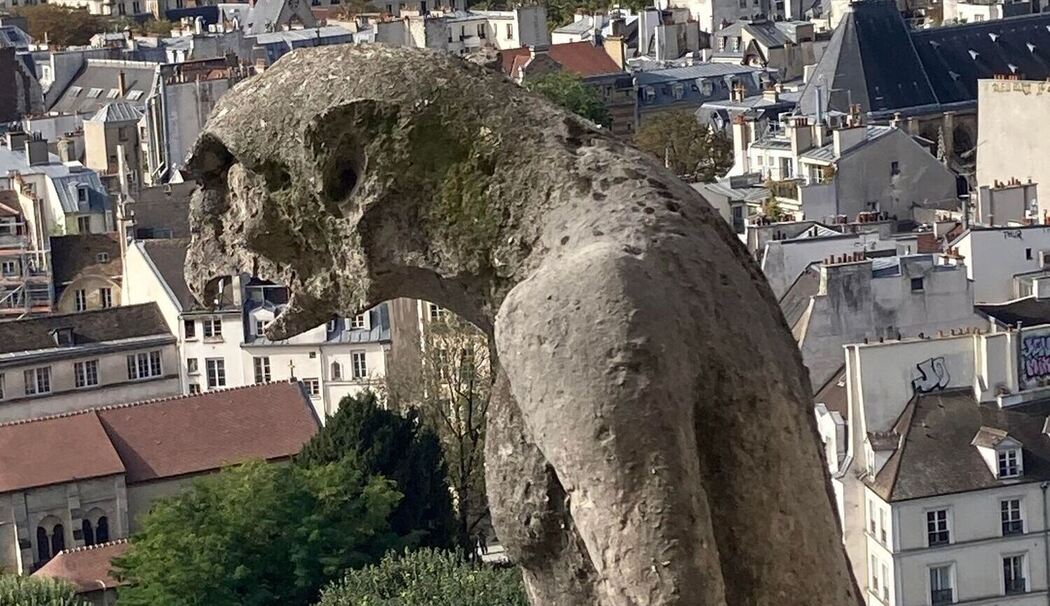 Wiedereröffnung der Türme der Pariser Notre-Dame