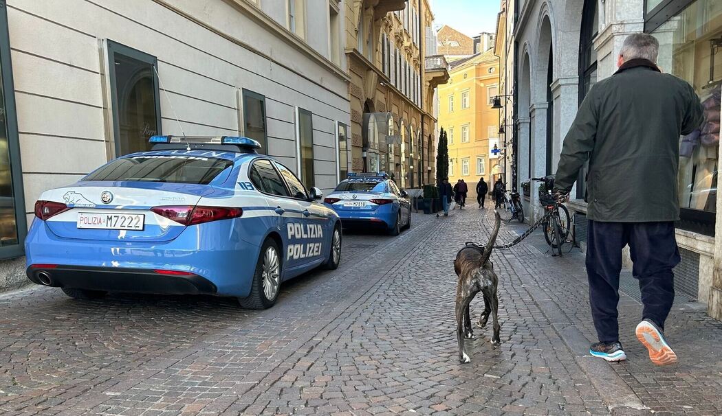 Hunde in Bozen