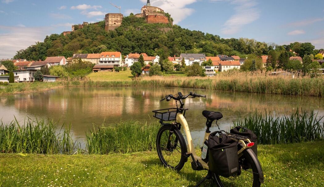 Blick zur Burg Güssing