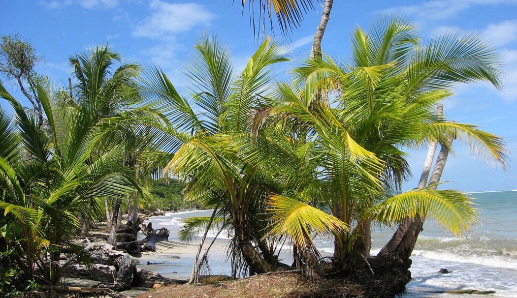 Mutmaßlich zwei Deutsche in Costa Rica tot aufgefunden