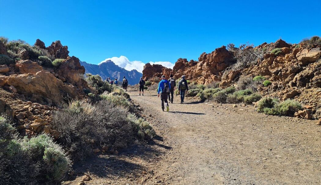 Vulkanlandschaft auf Teneriffa