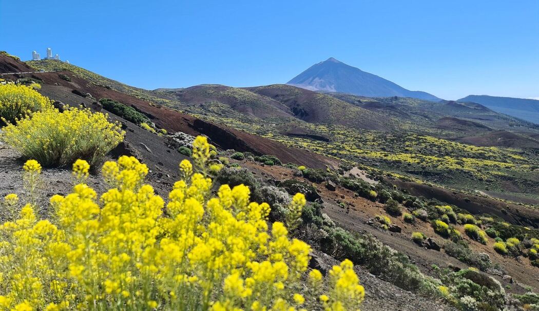 Der Teide auf Teneriffa