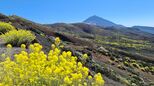 Der Teide auf Teneriffa