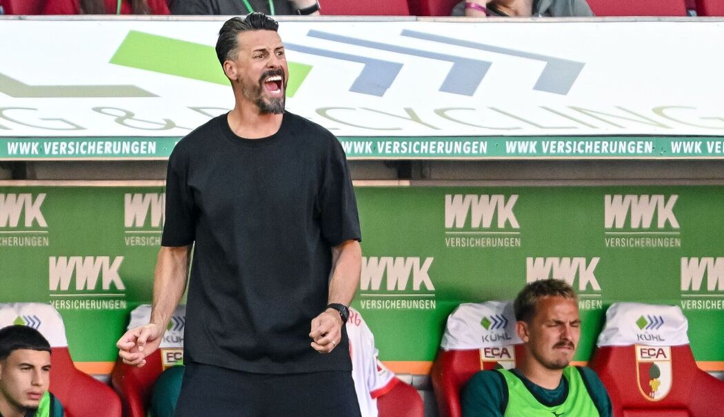 Sandro Wagner