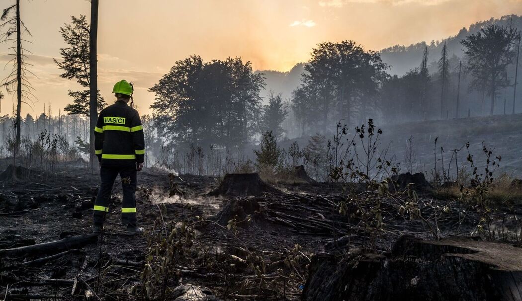 Waldbrand im Nationalpark Böhmische Schweiz