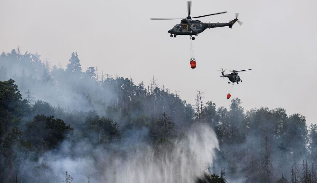 Waldbrand im Nationalpark Böhmische Schweiz