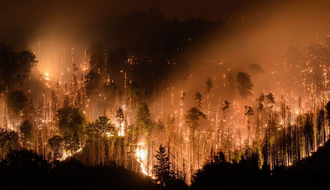 Feuer im Nationalpark Böhmische Schweiz