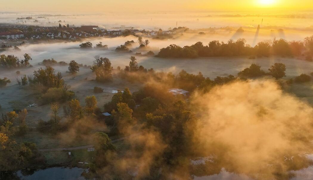 Nebel im Herbst